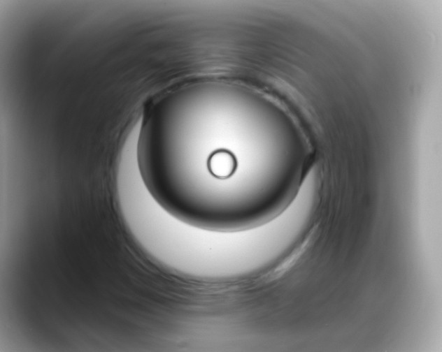 X0000088041449200706011315