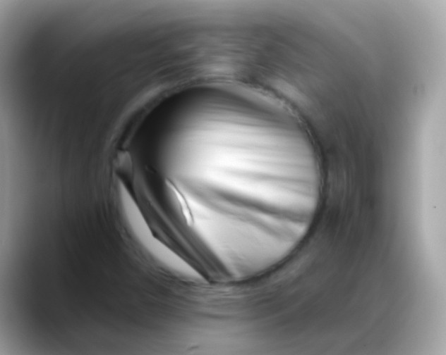 X0000088041450200706011315