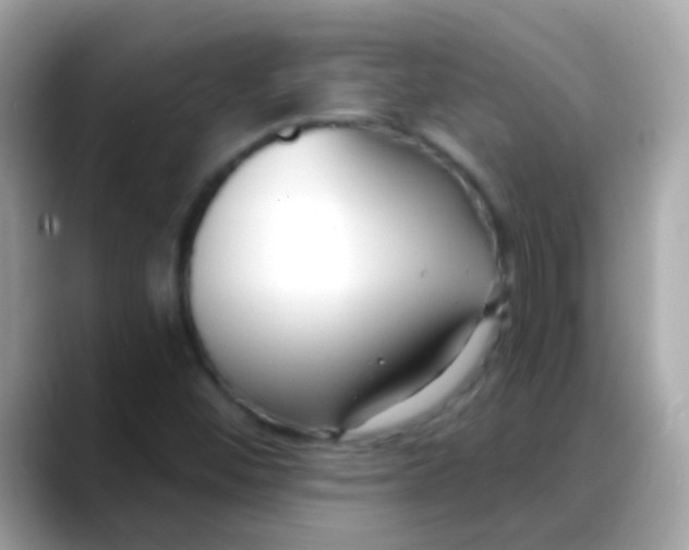 X0000088041452200706011315