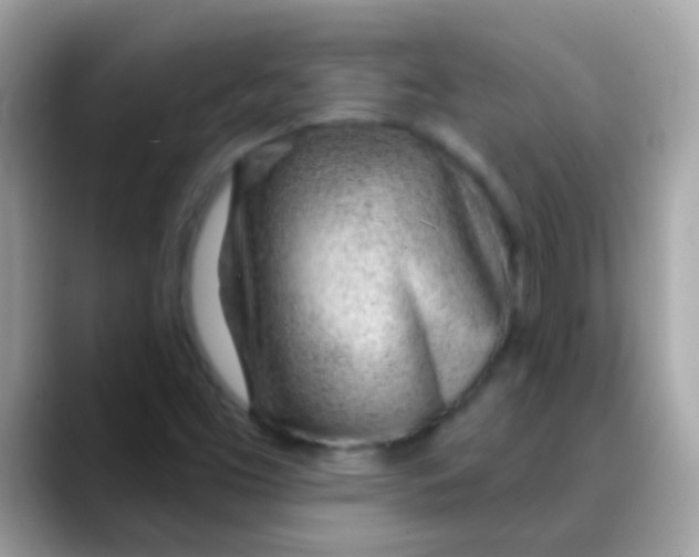 X0000088041453200706011315