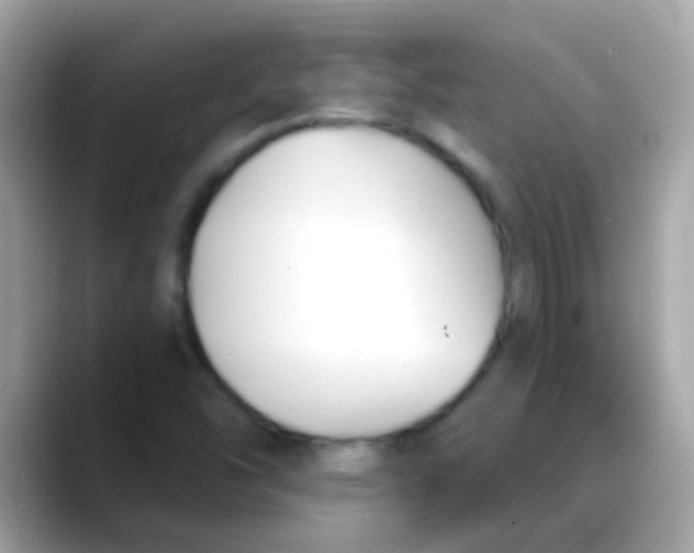 X0000088041454200706011315