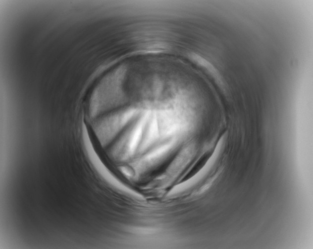 X0000088041457200706011315