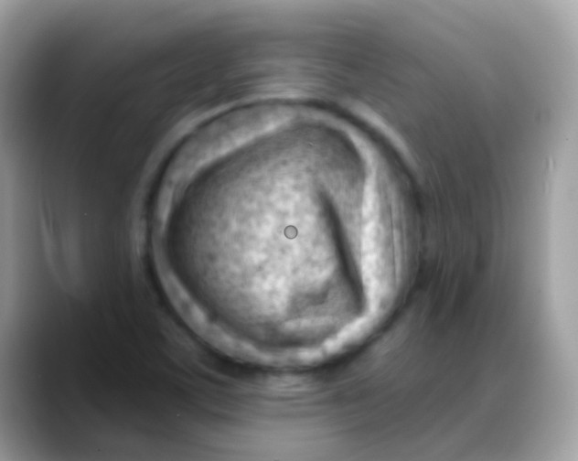 X0000088041459200706011315