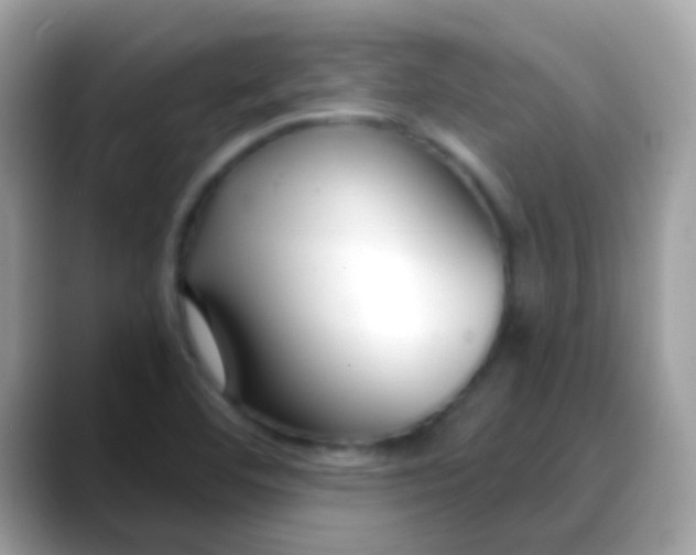 X0000088041460200706011315