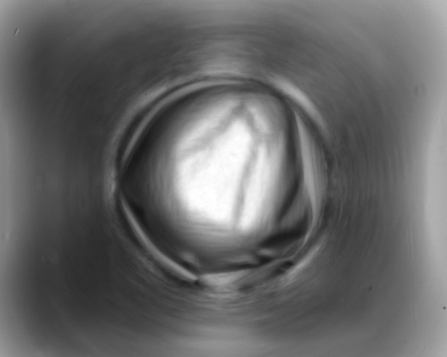 X0000088041461200706011315