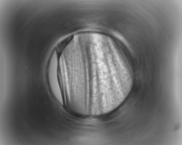 X0000088041463200706011315