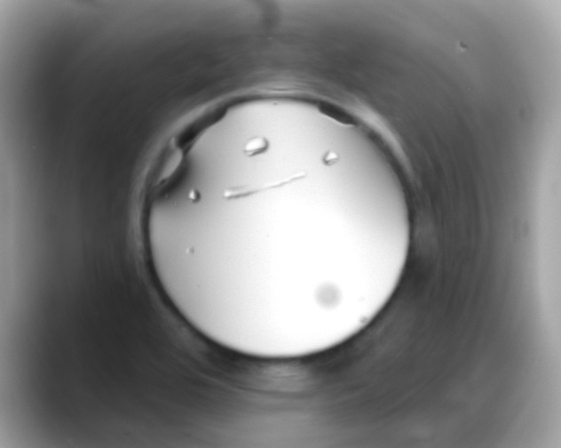 X0000088041464200706011315