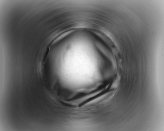 X0000088041465200706011315