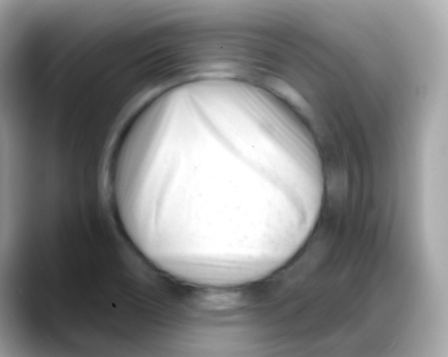 X0000088041466200706011315