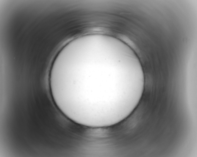 X0000088041474200706011315