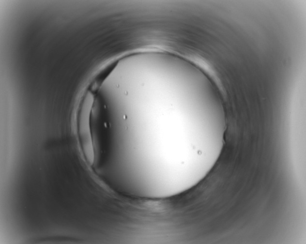 X0000088041480200706011315