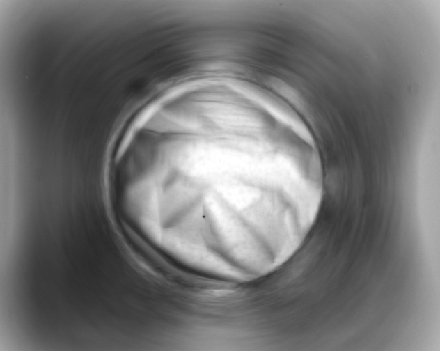 X0000088041482200706011315