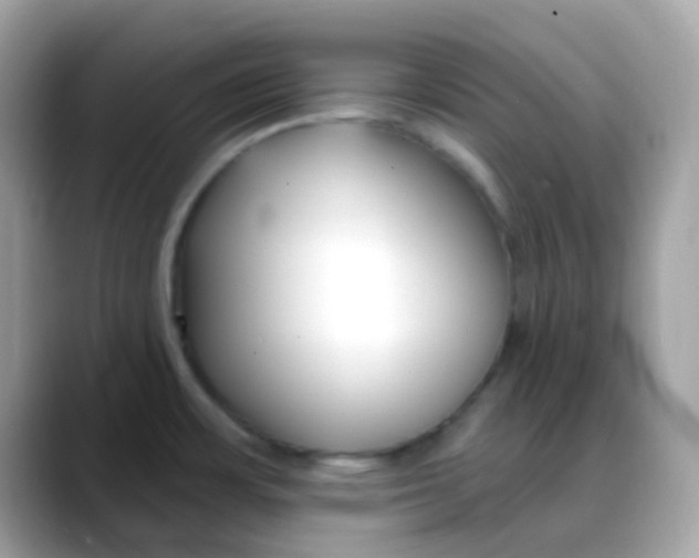 X0000088041483200706011315