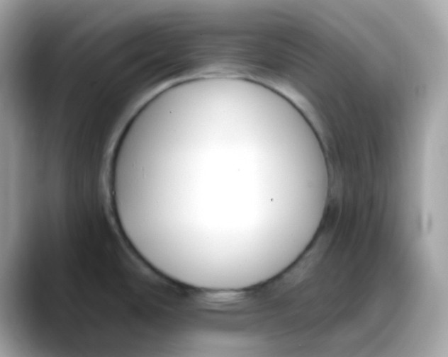 X0000088041486200706011315