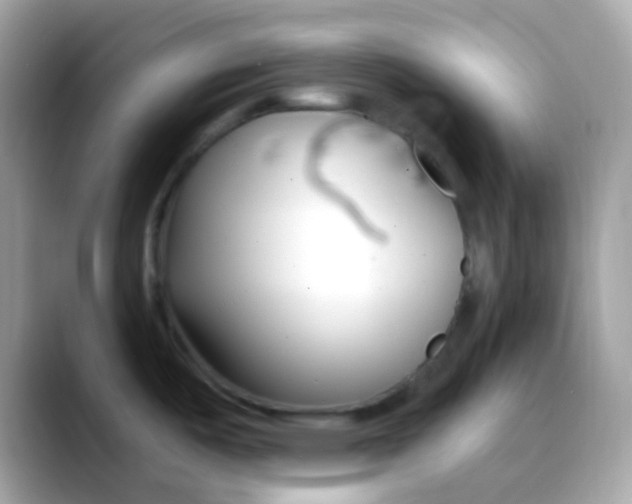 X0000088041487200706011315