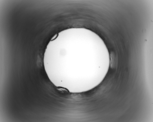 X0000088041491200706011314