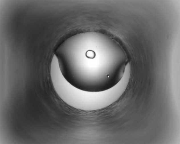 X0000088041492200706011314