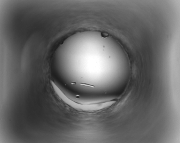 X0000088041494200706011314