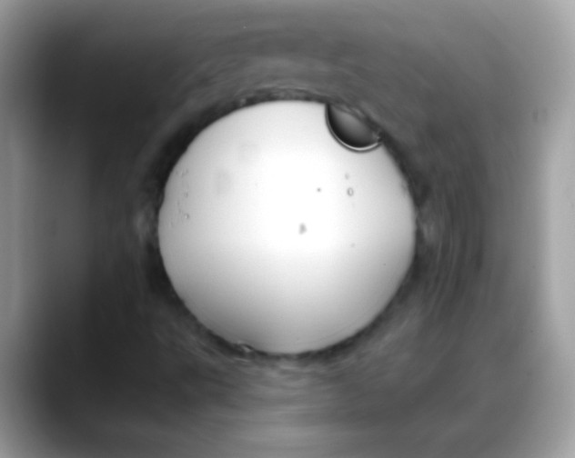 X0000088041495200706011314