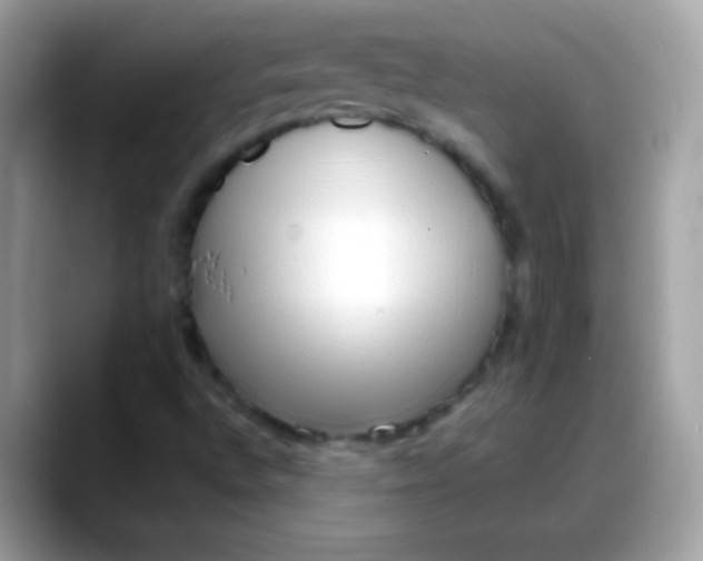 X0000088041496200706011314