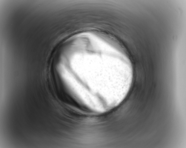 X0000088041497200706011314