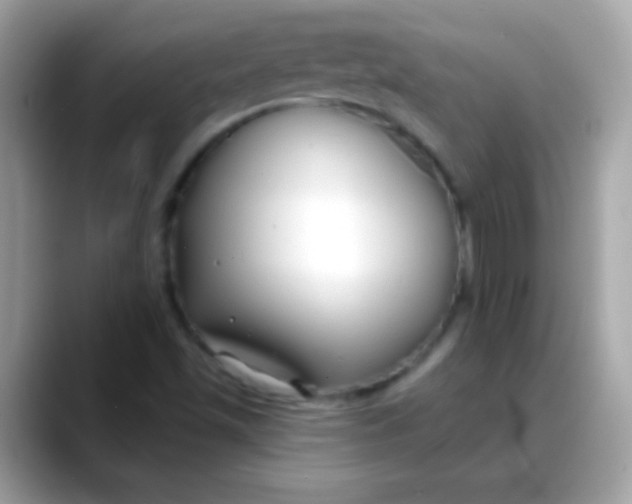 X0000088041501200706011314