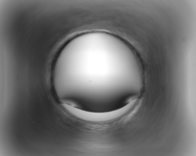 X0000088041502200706011314