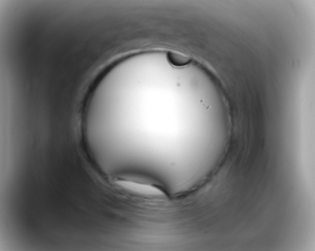 X0000088041503200706011314