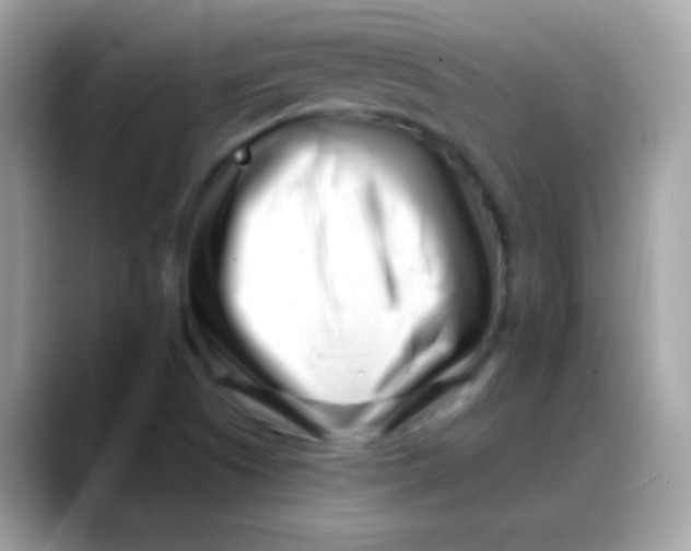 X0000088041505200706011314