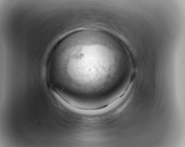 X0000088041506200706011314