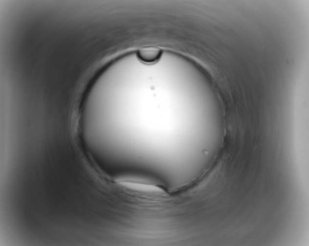 X0000088041507200706011314