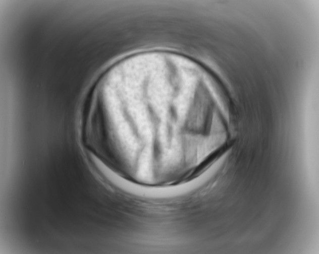 X0000088041508200706011314