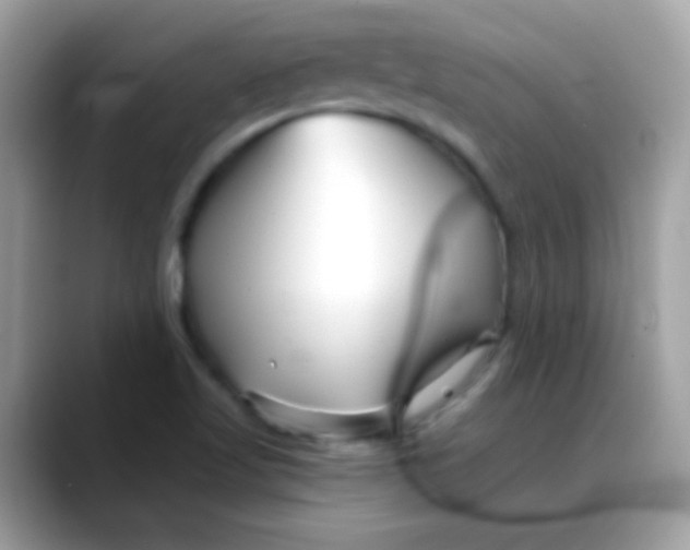 X0000088041509200706011314