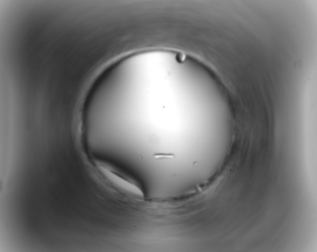 X0000088041511200706011314