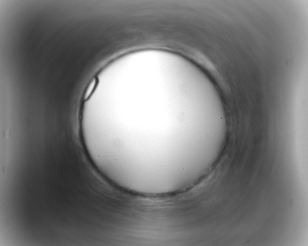 X0000088041512200706011314