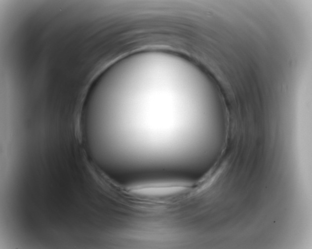 X0000088041513200706011314