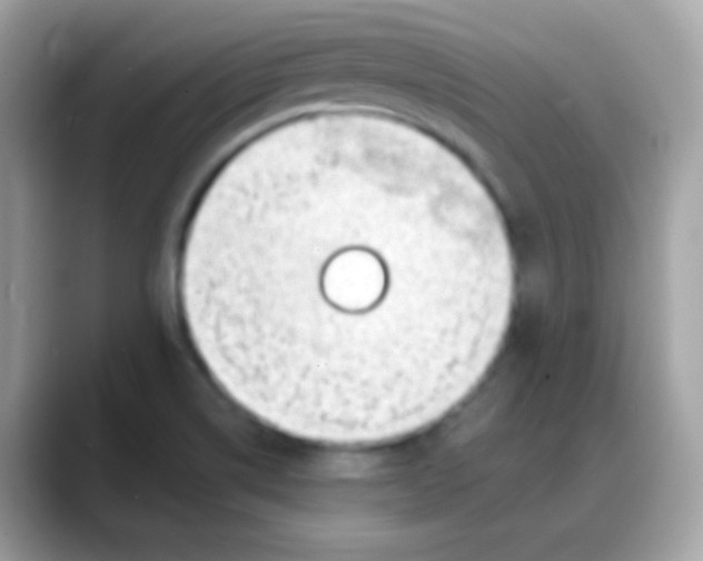 X0000088041514200706011314