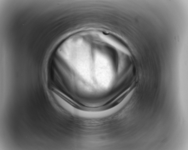 X0000088041515200706011314