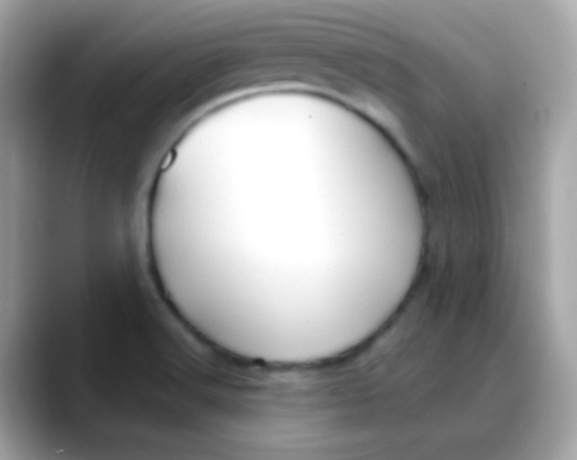 X0000088041516200706011314