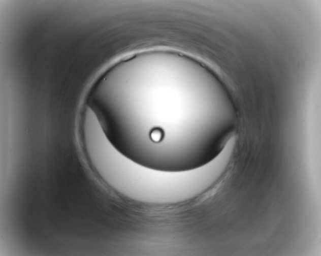 X0000088041518200706011314