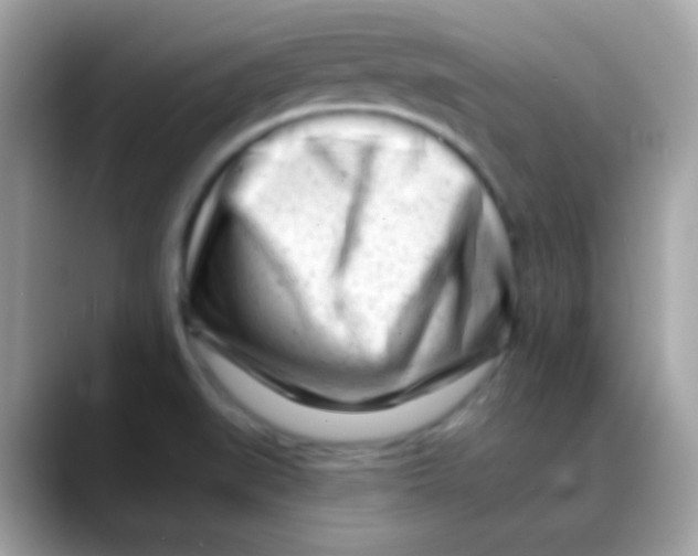 X0000088041519200706011314