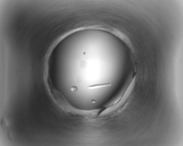 X0000088041520200706011314