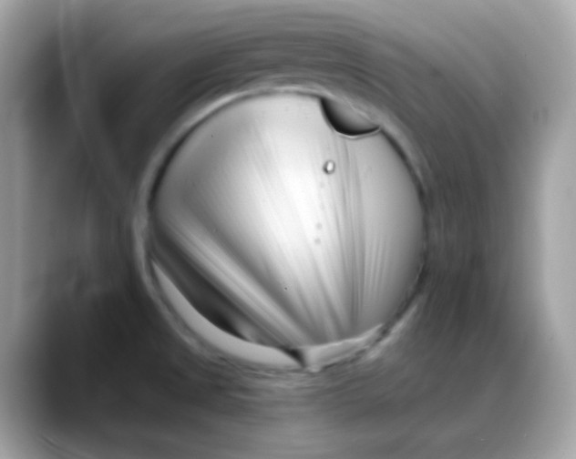 X0000088041525200706011314