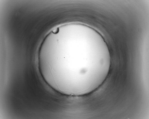 X0000088041526200706011314