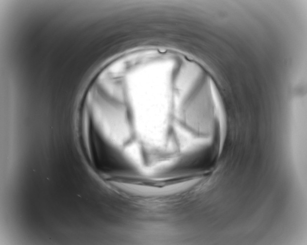 X0000088041527200706011315