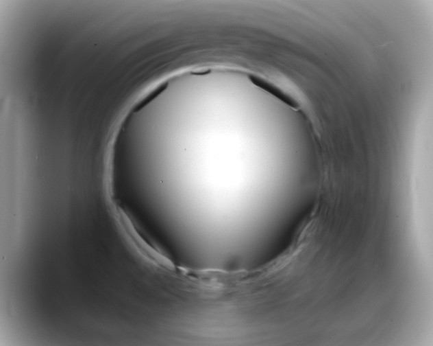 X0000088041528200706011315