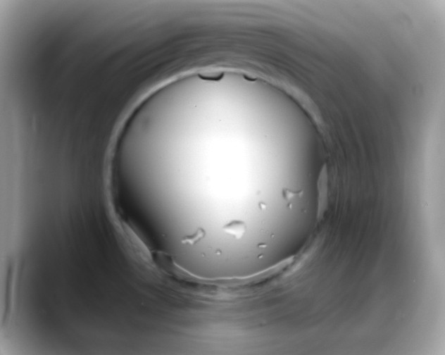 X0000088041530200706011315