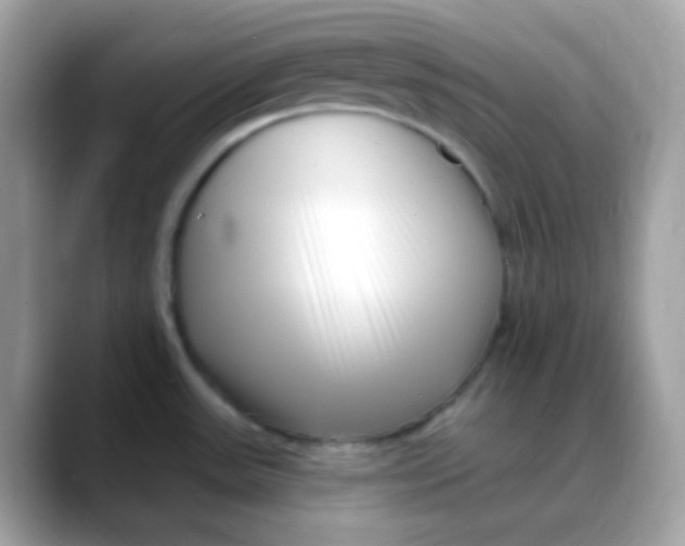 X0000088041531200706011315