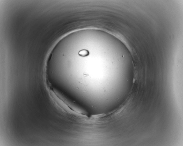 X0000088041532200706011315