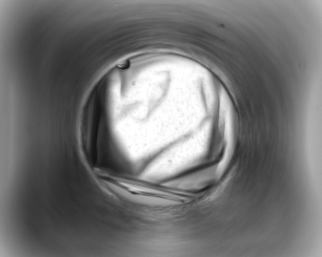 X0000088041533200706011315